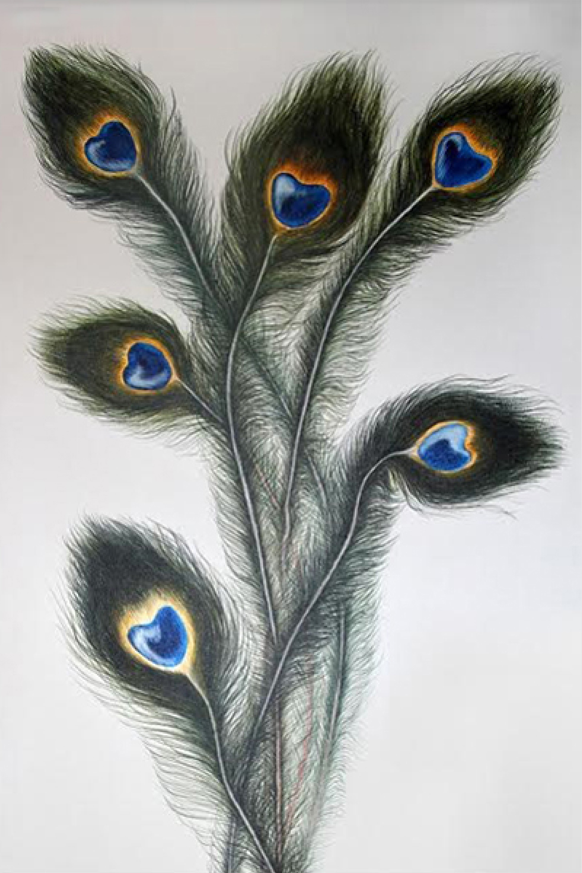 MAYUR PAAKHI