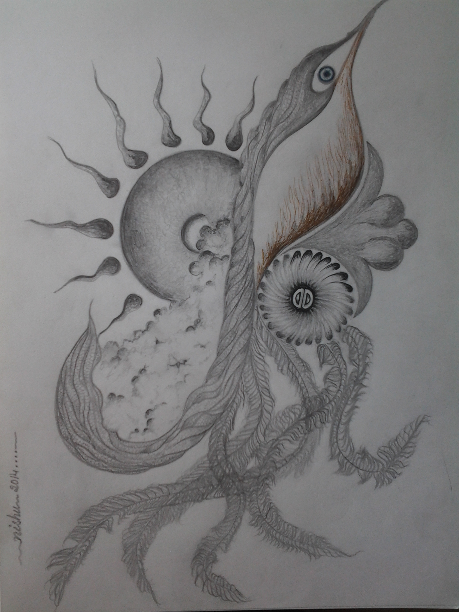 Sketches